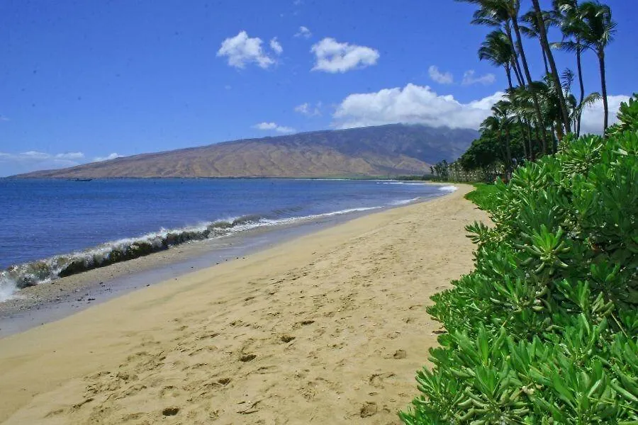 Kihei Beach, #303 Condo